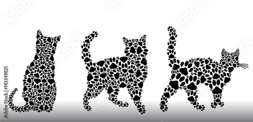 Photography Set of silhouettes of cats from the cat tracks