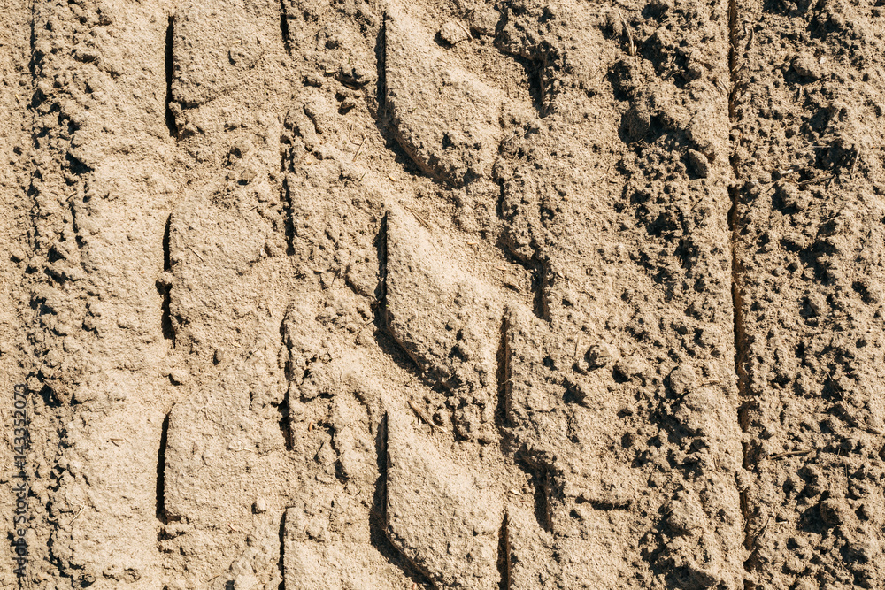 Wheel tracks on dirt.