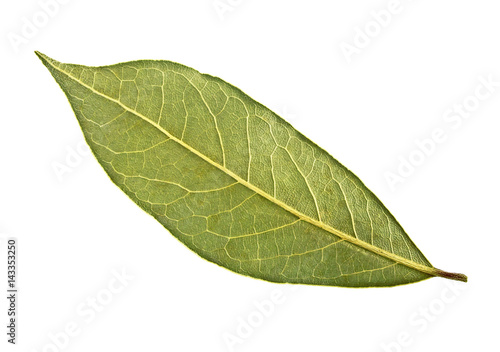 Single dried bay leaf isolated on white background