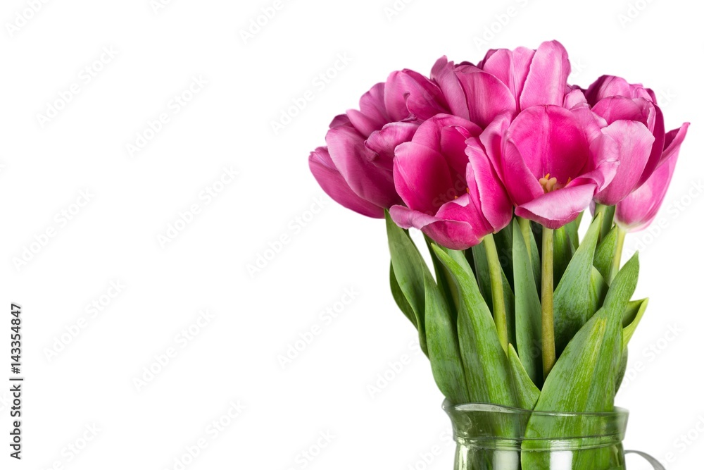 Tulips. Tulips.