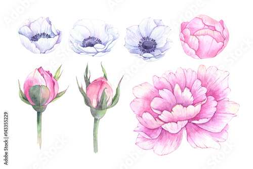 Hand drawn watercolor illustrations. Spring leaves  anemones and peonies. Save the date. Perfect for wedding invitations  greeting cards  blogs  posters and more