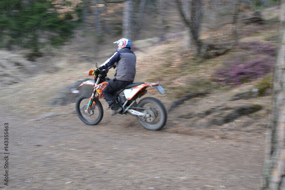 moto nel bosco