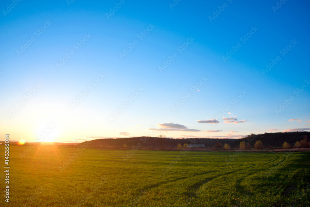  beautiful sunset on fresh spring grass with traces of car