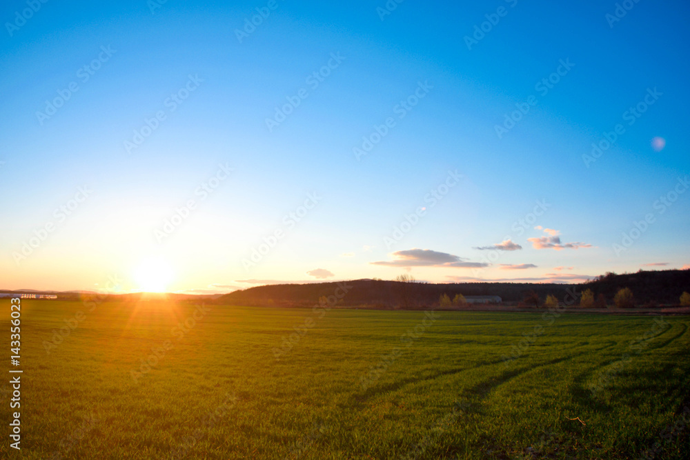  beautiful sunset on fresh spring grass with traces of car