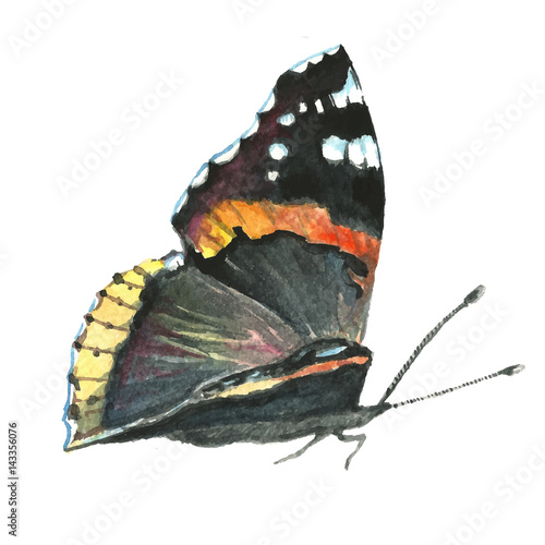 Colorful butterfly Admiral. Author's manual work.