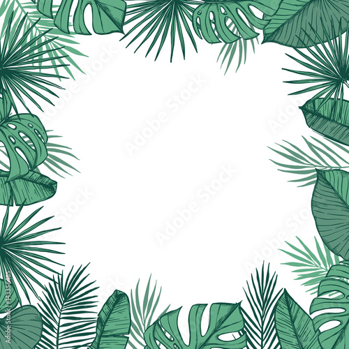 Hand drawn vector illustration - frame with Palm leaves and aloha lettering. Tropical design elements. Perfect for prints, posters, invitations etc © Kate Macate