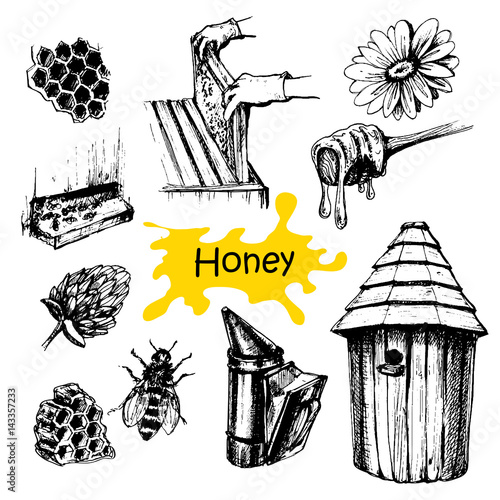Hand drawn honey set