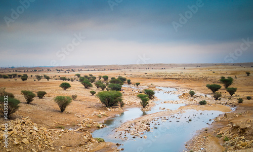 Fototapeta Naklejka Na Ścianę i Meble -  landscape from saudi arabia