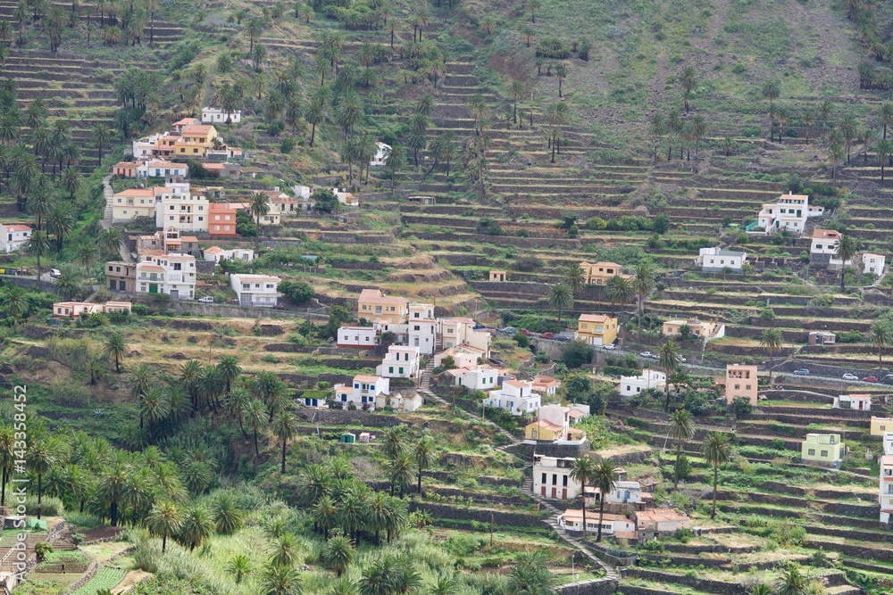 terraces of La Gomera