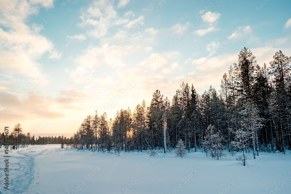Fototapeta premium Beautiful winter landscape