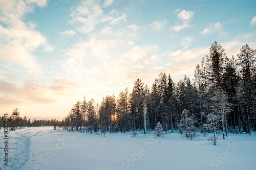 Beautiful winter landscape © Iurii