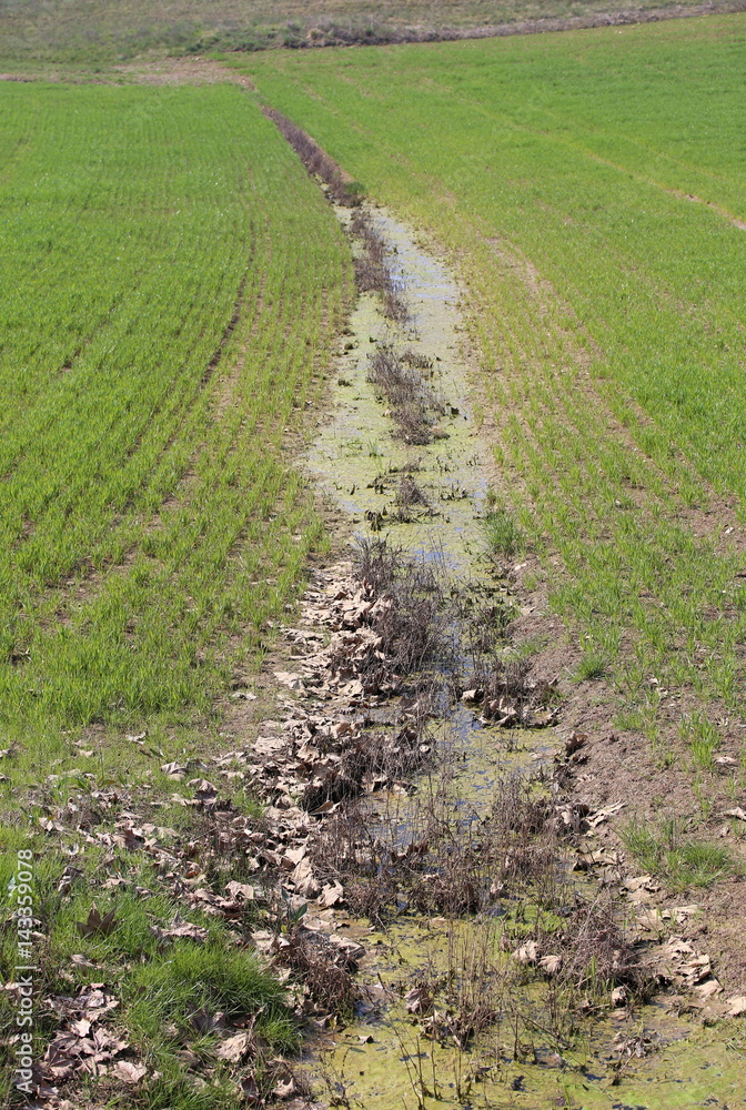 ditch full of water fields because the ground does not absorb mo ditch full of water fields because the ground does not absorb mo