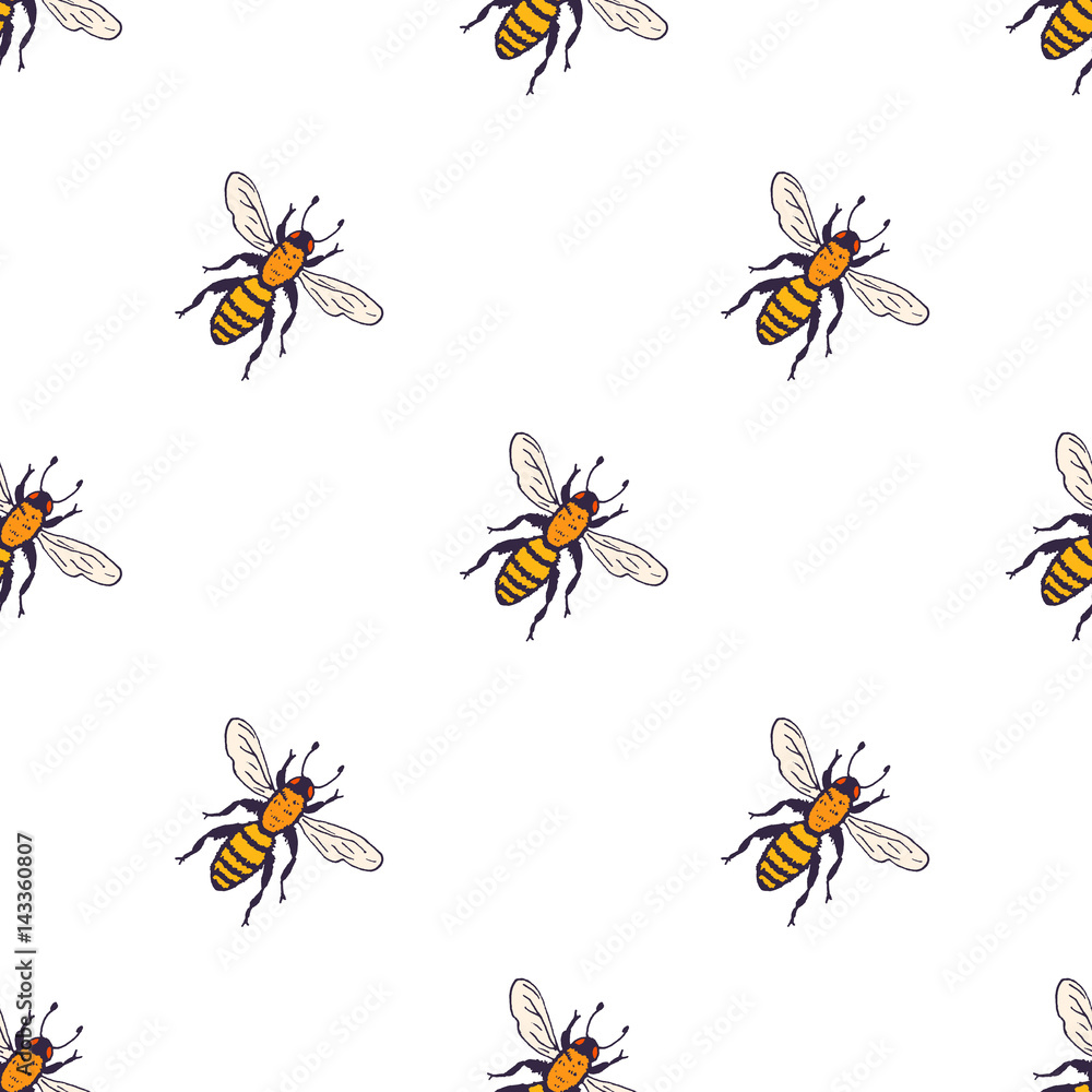 Vector bees set - seamless pattern. Hand drawn ink sketch with bumblebee insect. Wild animal drawing