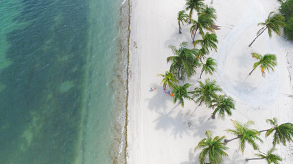 Fototapete Luftbild Strand von Miami aus der Luft  © lisa_h