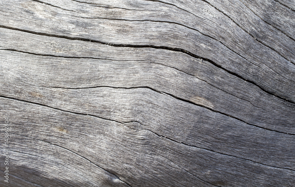 Distressed wooden texture closeup photo. Cold grey wood background. Distressed wooden texture closeup photo. Cold grey wood background.