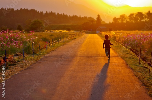 夕日に向かって走る子供