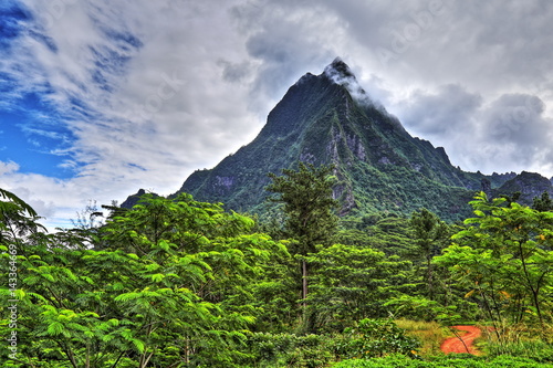 HDR image of the interior of the island of Moorea in the French Polynesia with her exuberant vegetation and mountains.