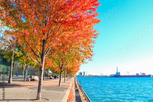 Color fall trees at Urban Beach Park, Sugar Beach, Toronto, Canada