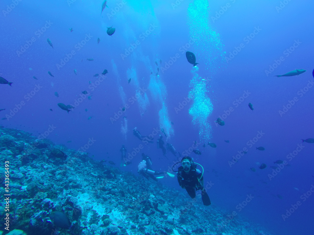 Scuba divers swim over Coral Reef. Rangiroa, French Polynesia.