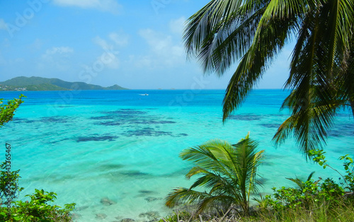 Landscape view of turquoise Caribbean Sea and lush green tropical island of San Andres y Providencia  Colombia