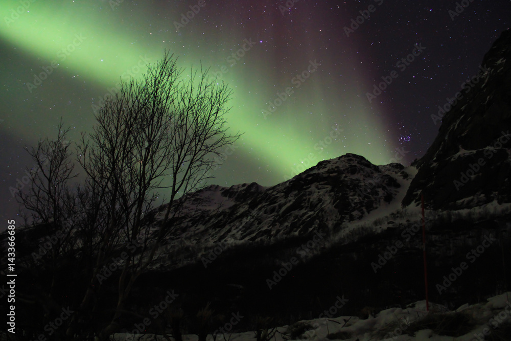 Northern lights. Tromso, Norway.