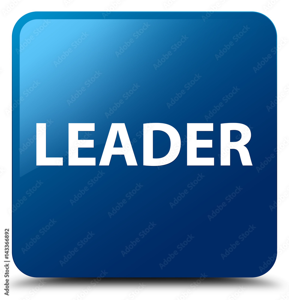 Leader blue square button Leader blue square button