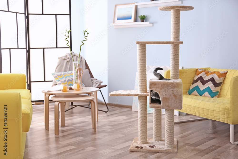 © Africa Studio - Kitten sitting in cat tree at modern room © Africa Studio - Kitten sitting in cat tree at modern room
