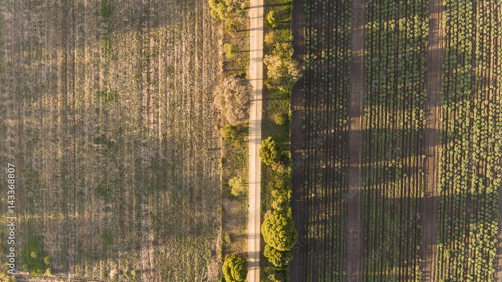 Aerial View of Road Between Fields