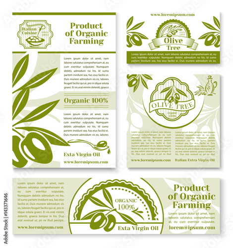 Olive oil and fruit sketch business template set