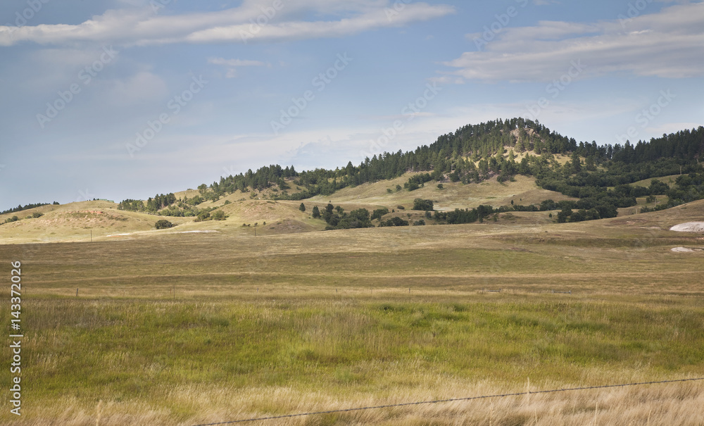 Hills and pine trees in the Black Hills of South Dakota Hills and pine trees in the Black Hills of South Dakota