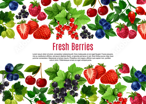 Berry and fruit cartoon poster template design
