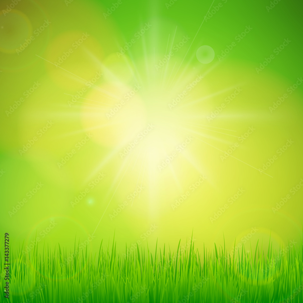 Vector natural green background with sun and grass.