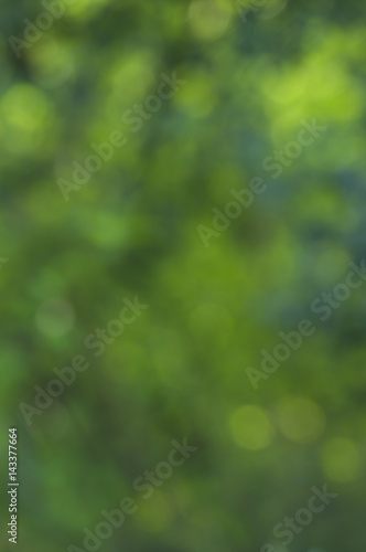 Green Background of various shades of emerald green orbs/Bokeh background of colorful green fawn lily flowers