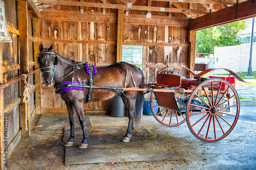 Fototapeta Naklejka Na Ścianę i Meble -  Amish Horse and Buggy