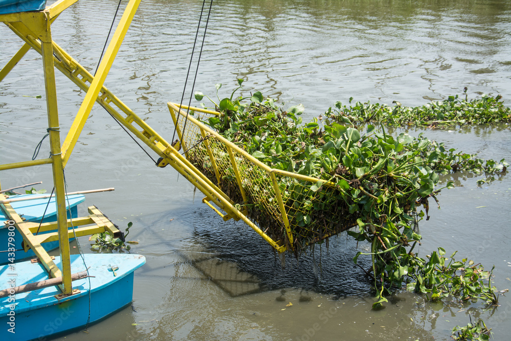 Fototapeta premium boat dig water hyacinth in the canal