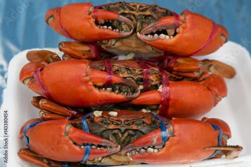 crab