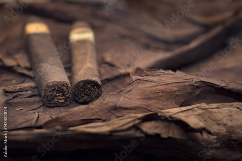 group of cigars on tobacco leaves photo