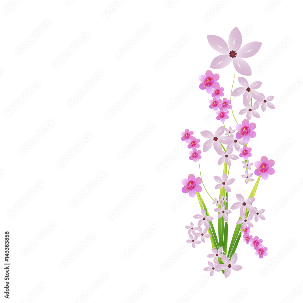 beautiful flowers beautiful flowers