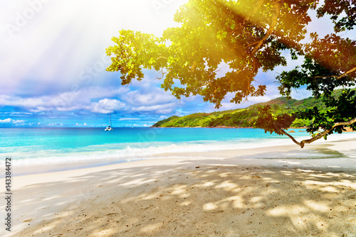 Photo of a tropical beach on the sunny day © Vitaly Raduntsev