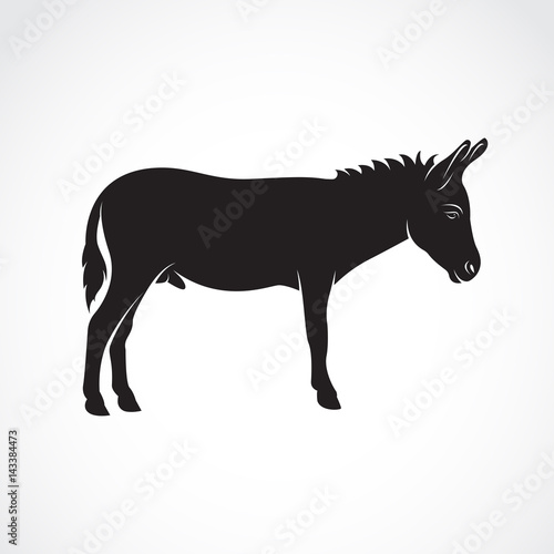 Vector of a donkey on white background. Wild Animals.
