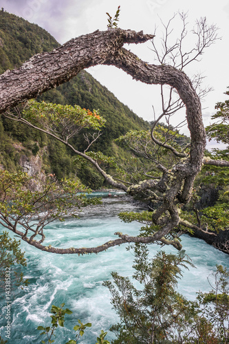 Vicente Perez Rosales National Park, Chile photo