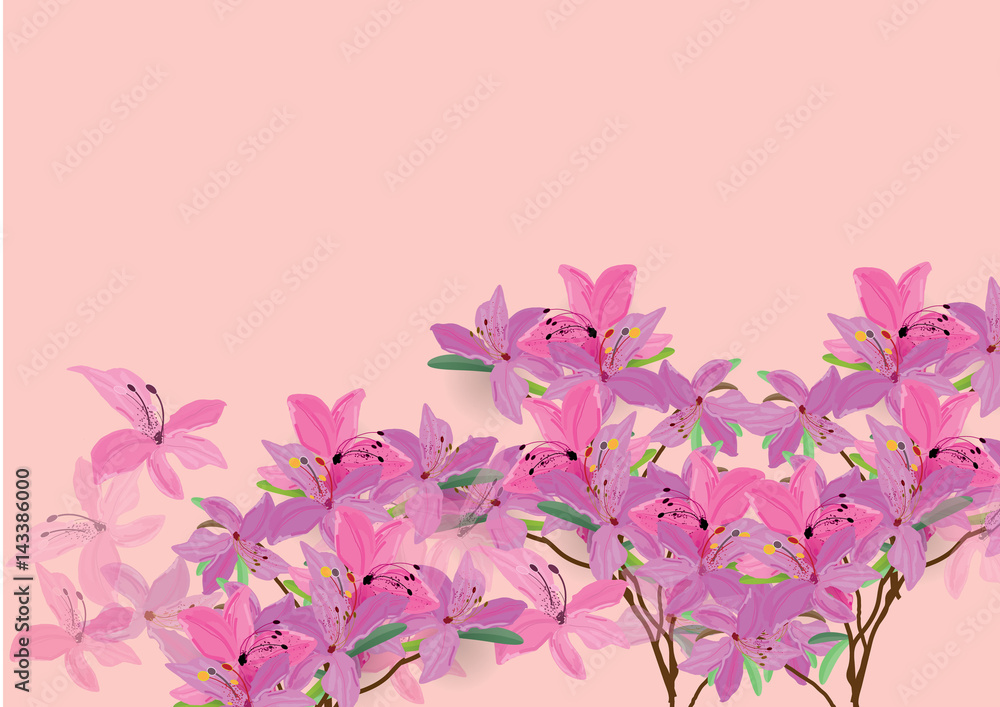  Azalea flowers  hand drawn watercolor brush design isolated picture for object or background