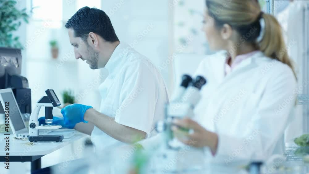 Scientific researchers in laboratory, woman analyzing sample under microscope Scientific researchers in laboratory, woman analyzing sample under microscope