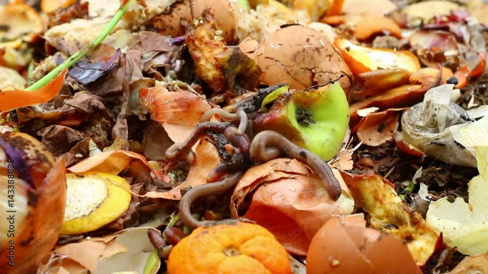 Food wastes and Red Worms/ Redworms (also known as red wiggler, brandling or manure worms) are best suited to worm composting because they thrive on organic material, such as food waste Food wastes and Red Worms/ Redworms (also known as red wiggler, brandling or manure worms) are best suited to worm composting because they thrive on organic material, such as food waste