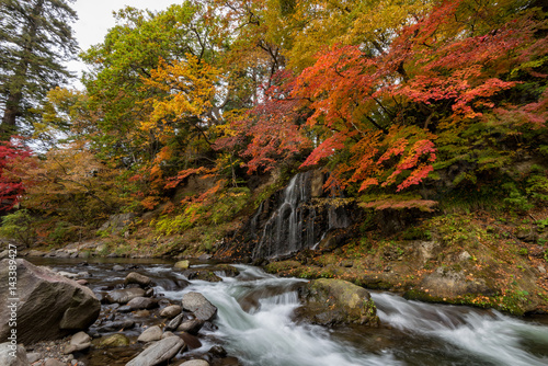 Fototapeta Naklejka Na Ścianę i Meble -  Fudo stream in autumn season at Nakano momiji mountain, Kuroishi, Aomori, Japan.