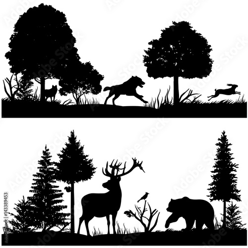 Photography Wild animals silhouettes in green fir forest vector illustration