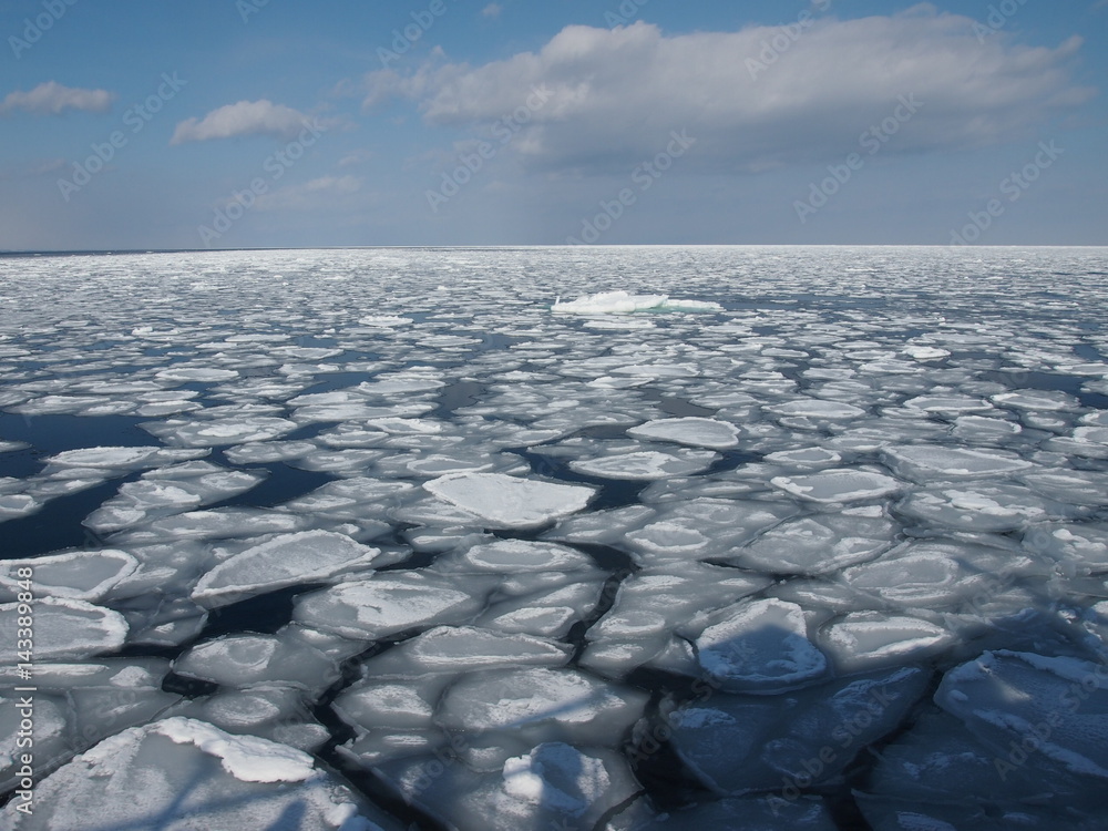 Obraz premium 北海道の流氷