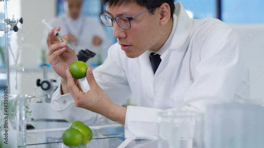 Food science researchers working in laboratory, 1 man injecting chemicals into limes. Food science researchers working in laboratory, 1 man injecting chemicals into limes.