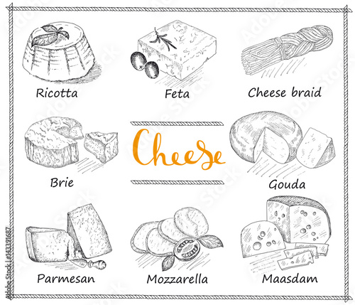 Cheese set vintage illustration.