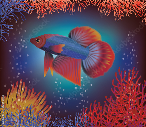 Underwater wallpaper with tropical fish, vector illustration
